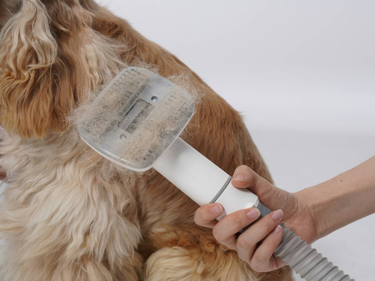 Close-up of hands using a mat splitter with Ergonomic Tool Design on a dog's matted fur