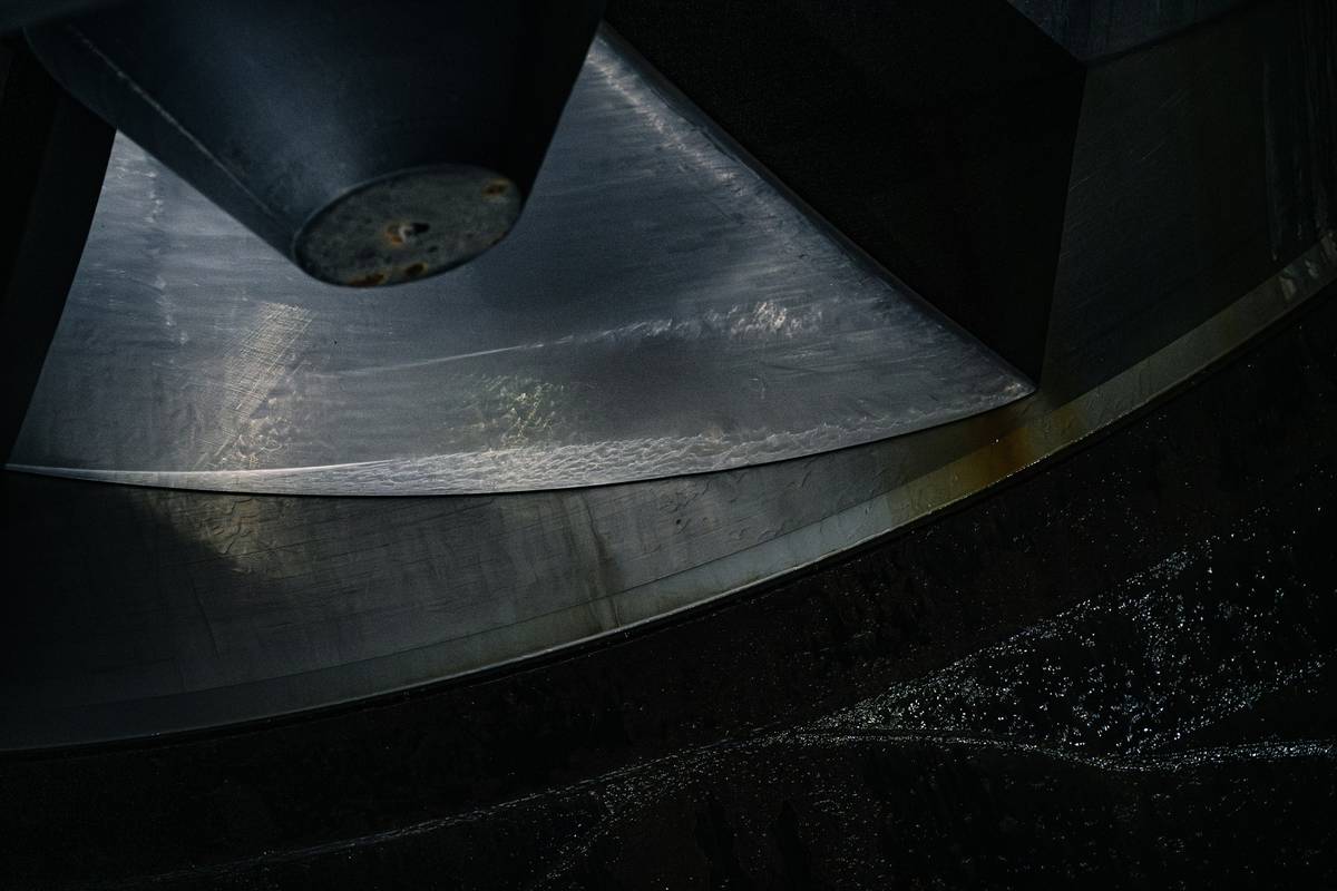 Close-up of stainless steel mat splitter blade design showing curved edge and rounded tip for safe pet dematting