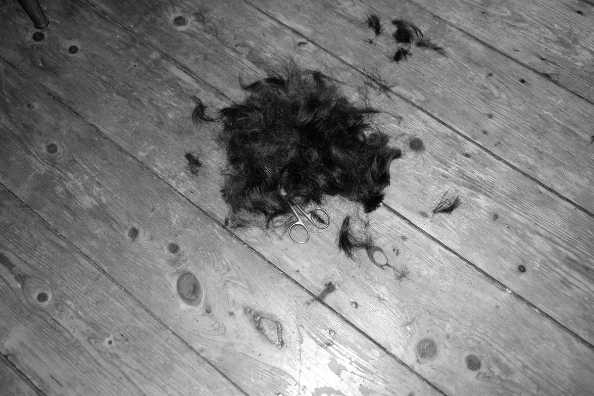 Pet Mat Cutter Edge: 7 Proven Tips to Avoid Painful Grooming Mistakes